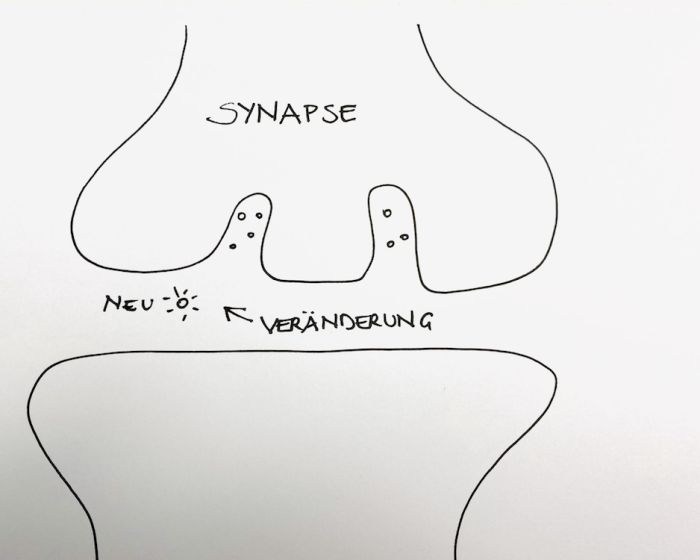 Synapse