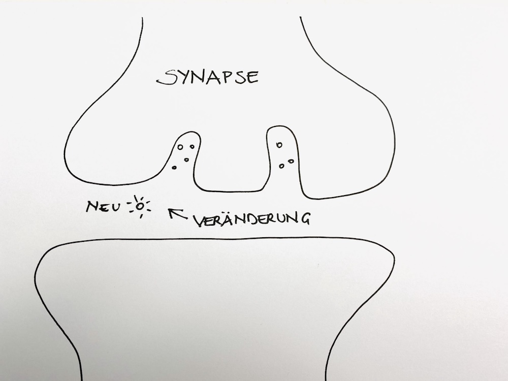 Synapse